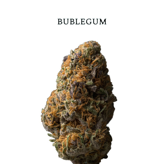 FLOR BUBLEGUM CBD  | Flores de Alta Calidad con Terpenos Dulces y Persistentes