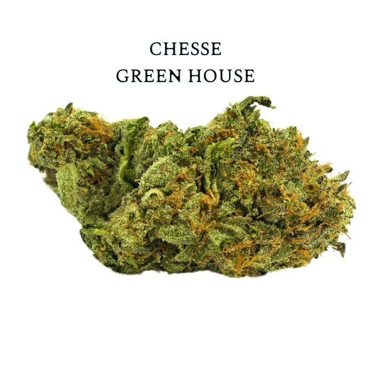 FLOR CHESSE CBD  – Cogollos Premium con el Inconfundible toque de chesse