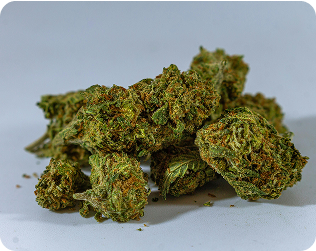 Pack Mixto CBD – €92