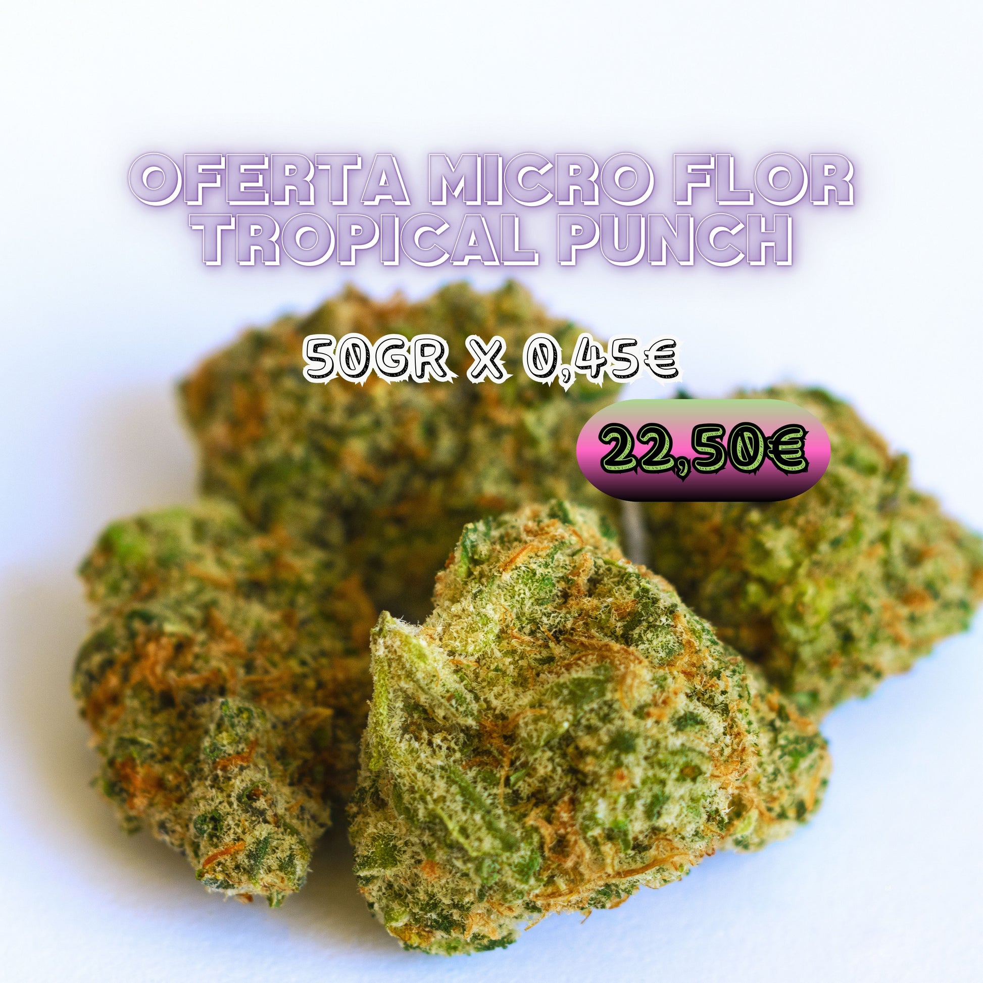 Oferta Micro Tropical Punch CBD | Micro Flores con Intenso Aroma Tropical y Afrutado