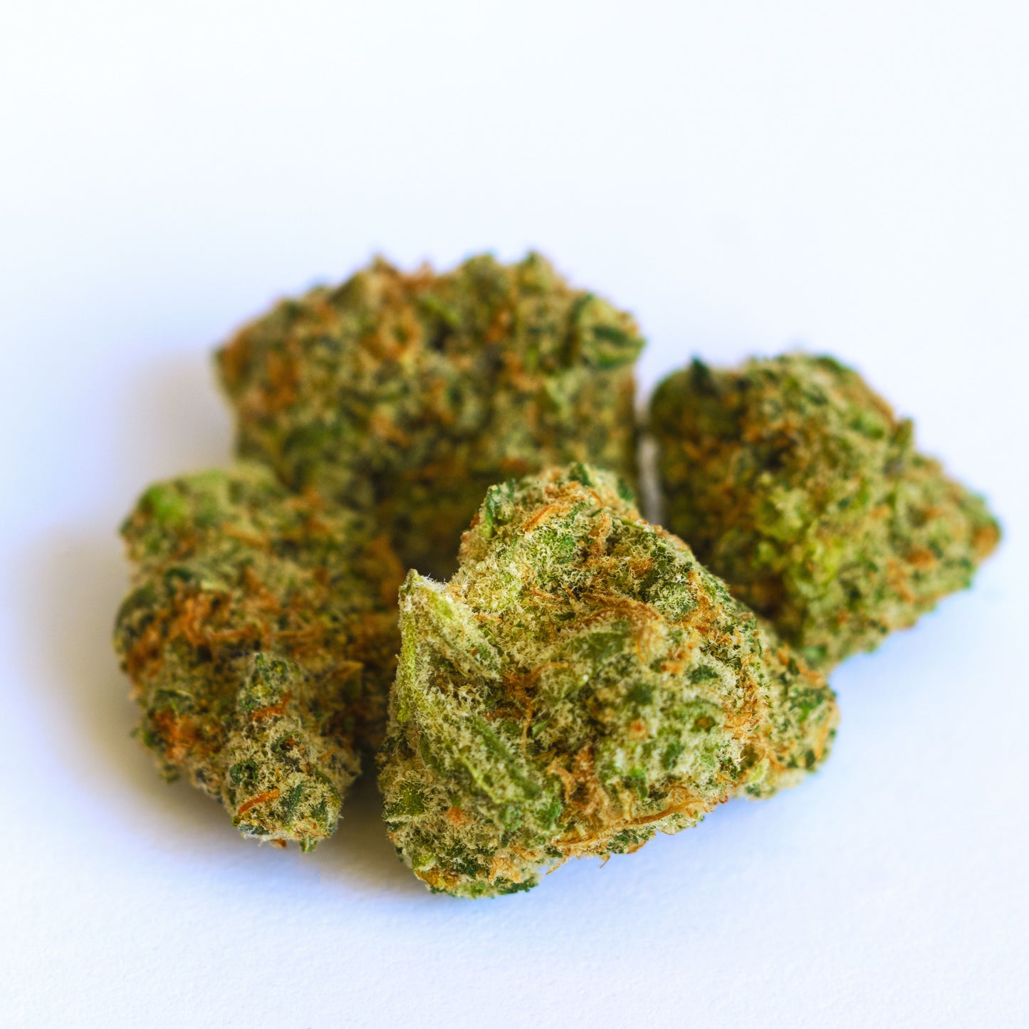 MINI BUD CALIFORNIA | Mini Cogollos de Alta Calidad con Notas Dulces y Terrosas
