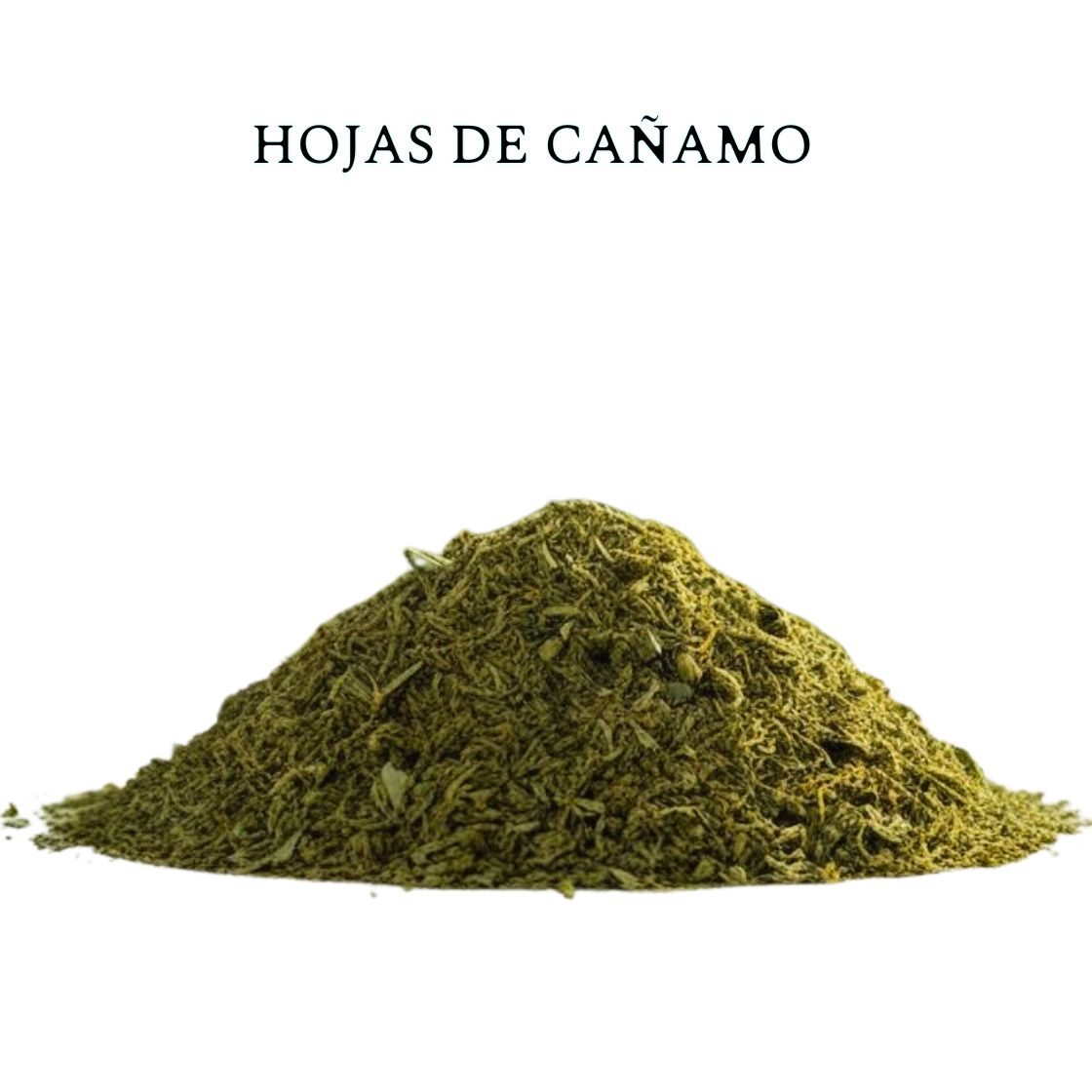 Hojas de Cáñamo Naturales | SurWeed