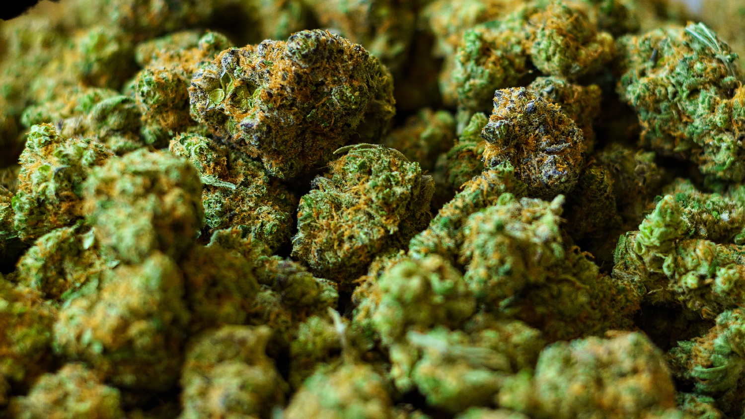 FLORES CBD