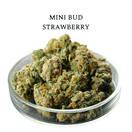 MINI BUD STRAWBERRY