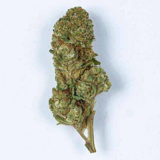 Flor Strawberry Cookies – Flores de CBD