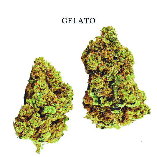 FLOR CBD GELATO | Flores de Alta Calidad con Terpenos Naturales y Aroma Exquisito