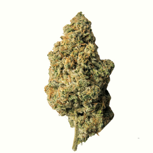 Mini Tropical Mango – Flores de CBD
