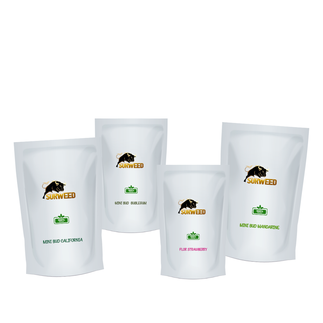 Pack Mini Bud CBD – 60 g