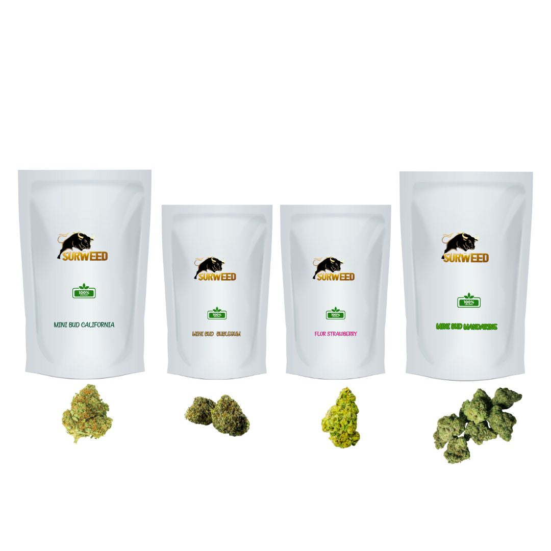 Pack Mini Bud CBD – 60 g