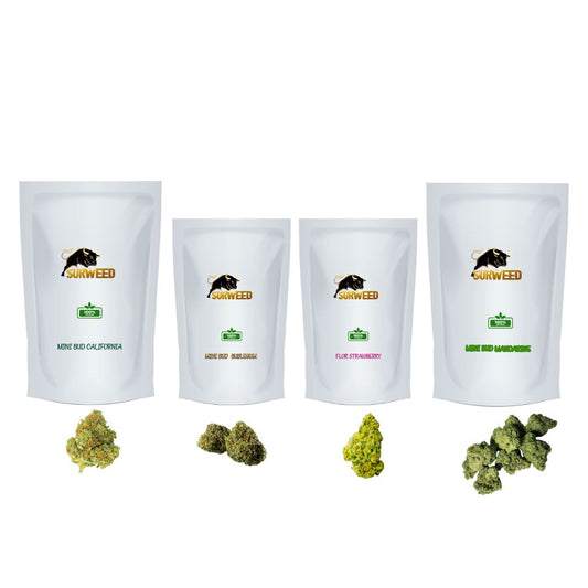 Pack Mini Bud CBD – 60 g